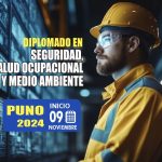 DIPLOMADO EN SEGURIDAD, SALUD OCUPACIONAL Y MEDIO AMBIENTE SSOMA